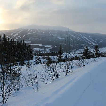Vila Lillebjorn Trysil Exteriér fotografie