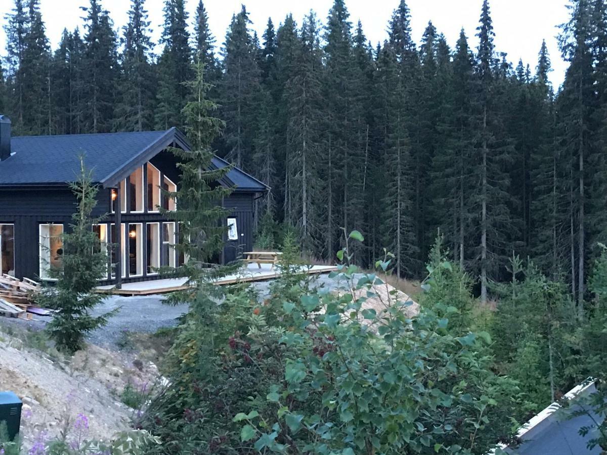 Vila Lillebjorn Trysil Exteriér fotografie