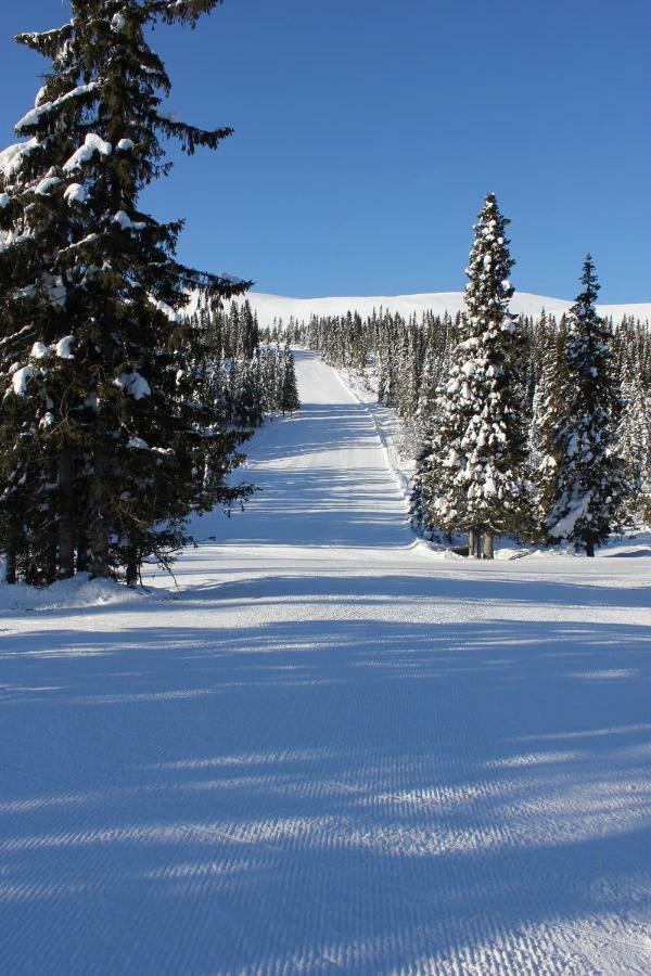 Vila Lillebjorn Trysil Exteriér fotografie